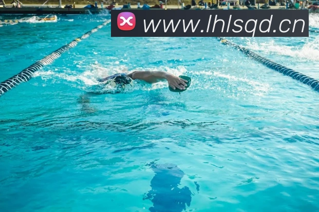 华体官网登录入口平台平台生态图